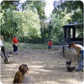 Sir William's Dog Run at Fort Tryon Park photo 1